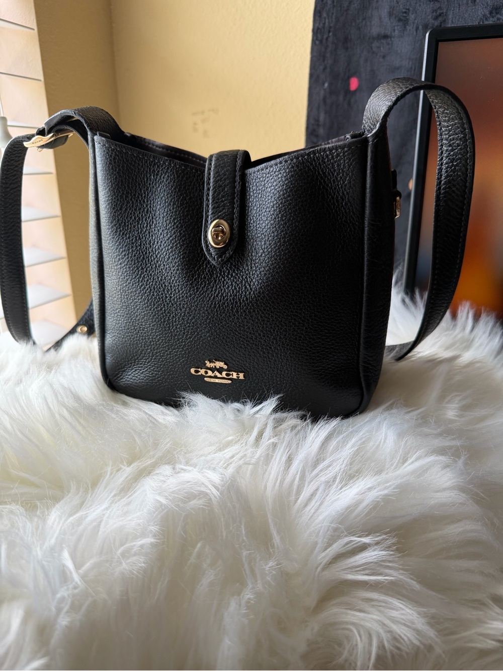Coach Hadley Mini Pebbled Leather Black Crossbody